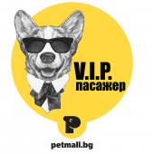 Стикер  за кола V.I.P. Пасажер Дългокосместо  чихуахуа